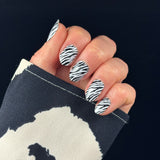 Hand laat nagelstickers zien met zwart-witte zebraprint op zwarte achtergrond
