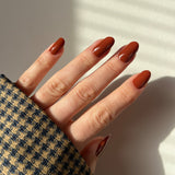 Chestnut Charm