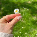 White Wildflower