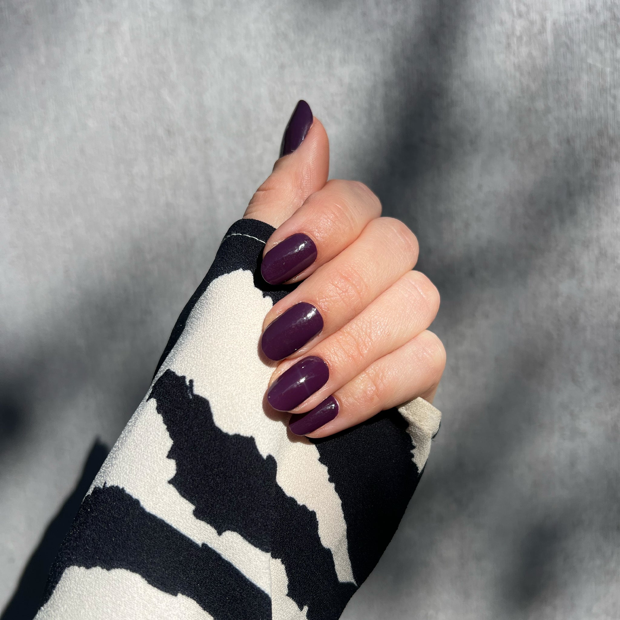 Royal Aubergine